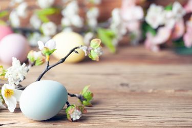 Foto: Osterei und Palmzweig